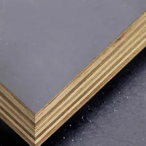 1220x2440mm Film Faced Plywood Concrete Formwork Film Faced Plywood Plastic Film Faced Plywood For Building