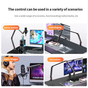 Soporte de Micrófono Profesional con Descuento por Volumen para Grabación en Estudio con Brazo Extensible para Micrófono de Condensador - Product Image 3