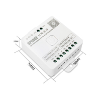 RF2.4G BT Todo en 1 DC5V 24V Controlador LED CCT RGB RGBW SPI de un solo color para lámpara LED