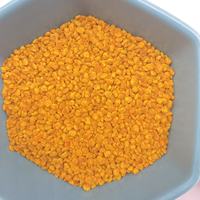 Fournisseur Premium – Granulés de pollen d'abeille 100 % purs et naturels, bruts, non transformés, qualité alimentaire, en vrac, pour le soutien immunitaire