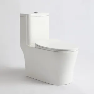现代无框一体式细长马桶座圈WC白色陶瓷抽水马桶浴室马桶