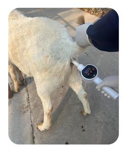 Instrumentos Veterinarios al por Mayor, Otros Equipos Veterinarios, Dispositivo Electrónico de Eyaculación Animal - Product Image 2