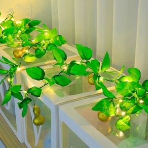 Lagenaria <span class=keywords><strong>Siceraria</strong></span> lampu dekorasi Natal, lampu peri Led tenaga surya 8 Mode tahan air 5m dekorasi tanaman rambat untuk rumah - Product Image 4