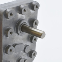 Moteur à engrenages vertical à courant continu à faible vitesse TYHE de haute qualité 12v 24v, boîte de vitesses 6w 5nm, faible puissance, couple élevé, 20 tr/min 100 tr/min, avec CE