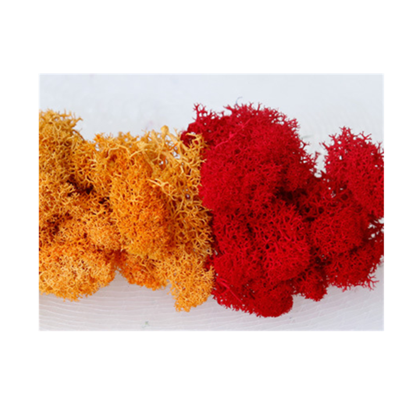 Многоцветный сохраненный мох класса a, настоящие на ощупь цветы, вечное украшение для стен, украшение на день матери, мох