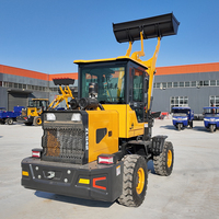 Produttore Europeo di Pale Gommate con Certificazione CE EPA, Motore Diesel, Mini Trattore 4WD, Caricatore Frontale, Piccole Pale Cingolate Compatte
