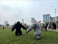 Costume de mascotte gonflable King Kong Gorilla en peluche pour adultes, promotion d'événements, Halloween, carnaval, unisexe, détection d'aiguilles