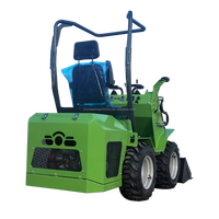 Vente en gros de haute qualité personnalisé à roues 390 Briggs & Stratton moteur à essence 200kg charge nominale charge élevée Moment Skid Steer Loader