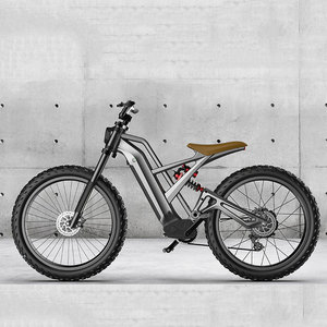 <span class=keywords><strong>Meilleur</strong></span> <span class=keywords><strong>prix</strong></span>, fabricant de haute qualité, vélo électrique de montagne de couleur grise 350/500/750/1000W - Product Image 6