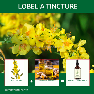 Mullein Leaf Extract Herbal Liquid Drops 2fl.oz. (60mL) Immune Support Dietary Supplement - Product Image 3