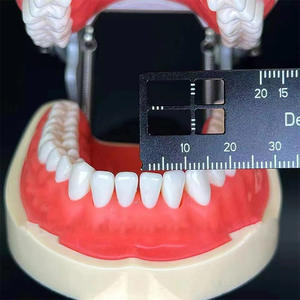 Regla de Medición Vertical Graduada de Doble Cara para Técnico Dental, Instrumento para Espaciado de Dientes, Instrumento de Raíz, Instrumentos Quirúrgicos Dentales - Product Image 2