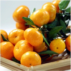 Naranja mandarina para bebé/naranja Nanfeng/naranja mandarina fresca - Product Image 1