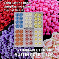 Têtes de fleurs éternelles Austin Rose faites à la main du Yunnan, 4-5 cm, multicolores, prix de gros usine pour la Saint-Valentin