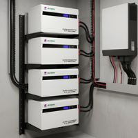 Baterai Champion Powerwall Lifepo4 Powerwall 10kwh 51.2v 100ah Paket Baterai Lithium untuk Energi Terbarukan