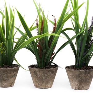 Plantas suculentas artificiales verdes <span class=keywords><strong>de</strong></span> estilos para la decoración del jardín del hogar <span class=keywords><strong>boda</strong></span> arreglo <span class=keywords><strong>de</strong></span> la pared <span class=keywords><strong>de</strong></span> plantas - Product Image 3