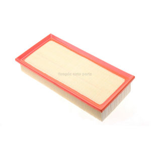 <span class=keywords><strong>Filtre</strong></span> à air de l'usine produit de haute qualité bon service après-vente 9674725580 - Product Image 4