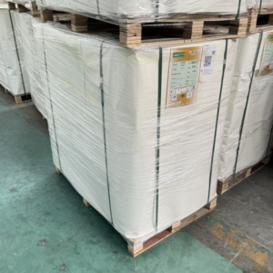 กระดาษรองแก้วแบบแผ่นเคลือบ PE สำหรับแก้วกระดาษแบบใช้แล้วทิ้งสำหรับซื้อกลับบ้าน - Product Image 5