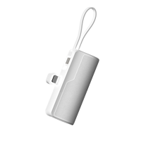 Banque De Puissance 5000 Mah Mini Power Banks Chargeur Rapide Mobile 5000 mah Batterie Externe Mignon Plug Tail Power Bank pour iPhone