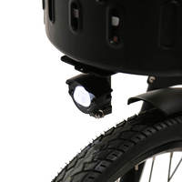 TXED Smart Fleet 4G IoT Verrou de frein électronique 36V 250W Moteur 13Ah Batterie Tricycle électrique partagé pour opérateurs de location