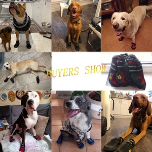 Suministros <span class=keywords><strong>para</strong></span> Mascotas OEM/ODM <span class=keywords><strong>Zapatos</strong></span> <span class=keywords><strong>para</strong></span> <span class=keywords><strong>Perros</strong></span> Pequeños, Medianos y Grandes, Accesorios Impermeables y Resistentes al Desgaste <span class=keywords><strong>para</strong></span> Montañismo al Aire Libre - Product Image 5