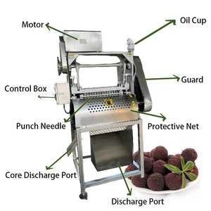 Máquina Separadora de Semillas Automática de Alta Calidad, Extractor de Semillas de Frutas - Product Image 3