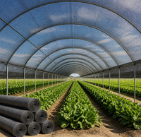 Filet d'ombrage agricole en HDPE résistant aux UV pour serres et cultures maraîchères africaines, taux d'ombrage 35-95%
