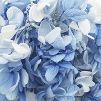 Hochzeit Deko Hochzeit Deko matériel conservé hortensia dans boîte à fleurs préservée pour la décoration de mariage décor à la maison