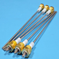 Électrode de contrôle de niveau d'eau en céramique d'alumine, vis G1/2, matériau Kanthal, sonde de niveau de type bougie en céramique, sensoélectrode