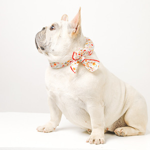 ผ้าพันคอคล้องคอสำหรับสัตว์เลี้ยง ช่วยระบายความร้อน น้ำหนักเบา เหมาะสำหรับฤดูร้อน สำหรับสุนัขและแมว - Product Image 4