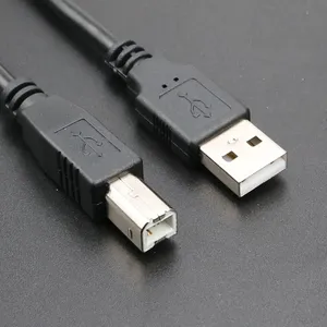 Kabel cetak Tipe A ke B USB 2.0 kabel Printer jantan ke jantan untuk kamera Epson HP Canon Printer usb2.0 ke kabel colokan Printer