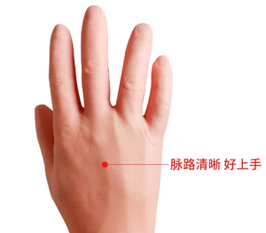 Tiêm tĩnh mạch và truyền Kit cánh tay thực hành của tiêm tĩnh mạch máu vẽ thủng đào tạo với Tiêm bắp - Product Image 4