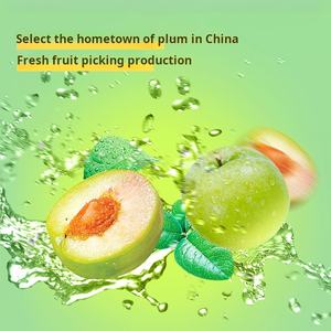 Tiras de ciruela verde seca, fruta procesada, bolsa de aperitivos saludables agridulces naturales, comida asiática china, venta al por mayor - Product Image 2