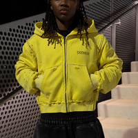 Sweat-shirt à capuche court DiZNEW pour homme, plusieurs couleurs, effet délavé, fermeture éclair, style cyber pop Y2K, OEM