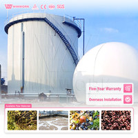WINWORK Réacteur Microbien Digesteur Anaérobie Usine de Biogaz Équipement Complet de Fermentation Fournisseur d'Installations