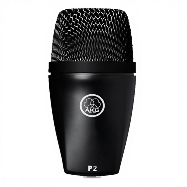 AKG Pro Audio P2 High-Performance Dynamic Bass Microphone with XLR Connector Unidirectional Pattern Black