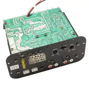 Factory Hot Sale 120 Watt Class D Subwoofer Amplifier Board Car Audio Amplifier Board