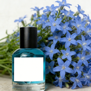 น้ำหอม L'YOMELEN All Day Endurance คอลเลคชั่นใหม่ กลิ่นราสเบอร์รี่เบอร์รี่ หอมหวาน กลิ่นผลไม้ น้ำหอมสำหรับทุกเพศ ขนาด 30/50/100 มล. - Product Image 4