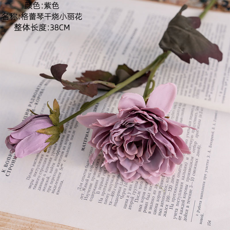 Pourpre