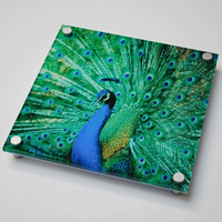 Art mural en acrylique imprimé UV en couleur personnalisée Panneau d'affichage imprimé photo en acrylique Lucite en plexiglas Panneau mural