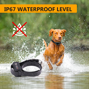 Goldener Lieferant Zinken wiederauf ladbare wasserdichte Fernbedienung Piepser guten Preis elektrische große Hund Schock Jagdhund Trainings halsband