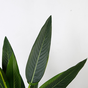Décorer de petites plantes, 300x95cm de hauteur, arbres artificiels, bonsaï, décoration pour la maison - Product Image 3