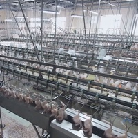 Abattoir de viande de volaille Équipement de traitement d'abattage