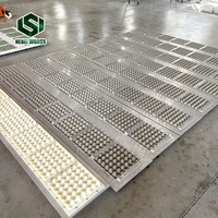 Wongs Factory Eierbakvorm Duurzaam Aluminium en ABS Materiaal voor Automatische Eierbakvormmachine