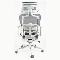 Chaise ergonomique de haute qualité hauteur réglable accoudoir 3D base en métal dossier réglable couleur en option chaise de bureau pleine maille