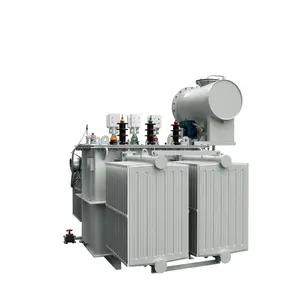 500/1000/1600 kVA 10000/11000 V Dyn11 S11 trasformatore di distribuzione a bagno d'olio trifase standard IEEE
