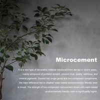 Microciment d'intérieur pour murs et sols, peinture décorative en microciment pour salle de bain et cuisine, revêtement en ciment imperméable sans joint, fournisseur