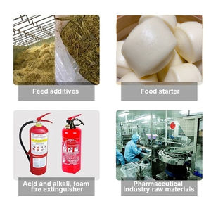 Bicarbonato de Sodio al 99% Mínimo para Neutralización de Ácidos y Bases - Product Image 5