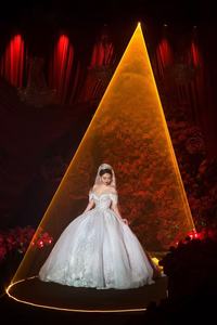 مجموعة كاملة لحفلات الزفاف: ضوء ليزر RGB بقوة 10 واط ومعدات مسرحية، آلة ضباب بانبعاث أبيض وأخضر، آلة ثلج، وآلة ألعاب نارية مع تحكم عبر التطبيق - Product Image 5