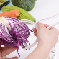 Op Maat Gemaakte Roestvrijstalen Groentefruitschiller