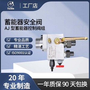 Groupe de vannes de commande d'accumulateurs TaiXin type AJ, filetage 1/2 po, pour liquide huileux à température normale - Product Image 5